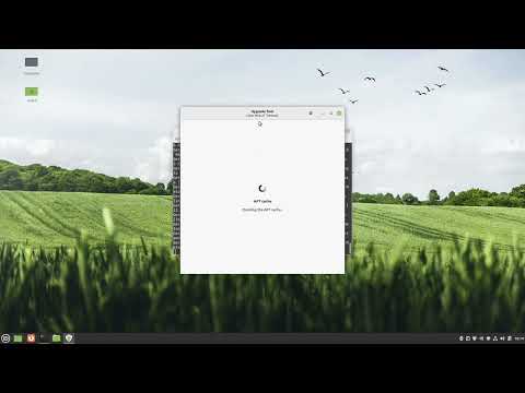 Linux Mint Upgrade from 20.3 to 21.0
