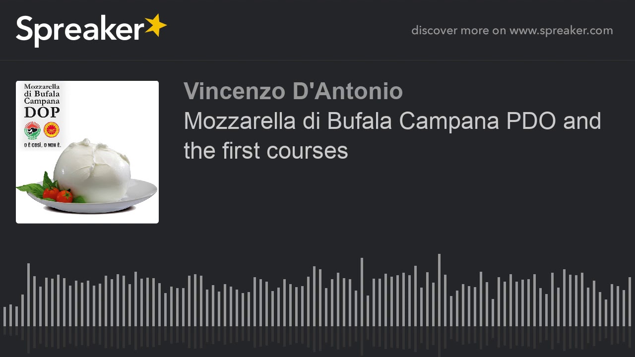 Mozzarella di Bufala Campana PDO and the first courses (part 1 di 2)