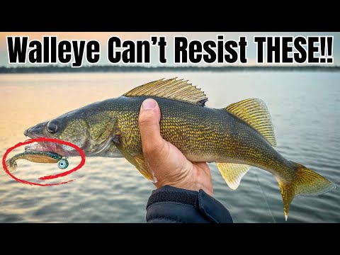 The Top 3 Walleye Swimbaits You NEED To Know in 2025!