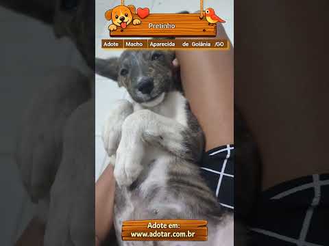 Vídeo de Pretinho