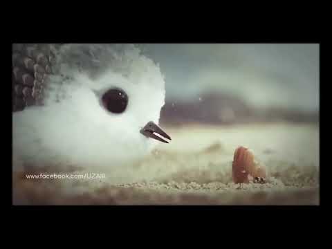 Best Animated Short Films 2024  Motivational & Inspirational