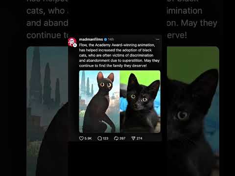 YEAAAAA 🗣️🔥🔥#blackcats #flowmovie