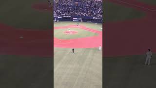 開幕戦３月開幕の大阪で、「鷹穂高」豪快な勝ち越し１号どすこい弾‼︎
