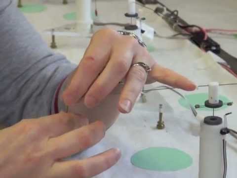 Flight Mill Behavior Studies: attaching a moth