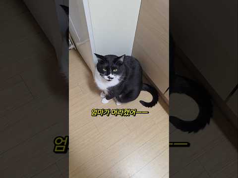 사고치고 바로 해결하는 법ㅋㅋㅋ