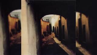 Jandek - I Stepped Out Of It