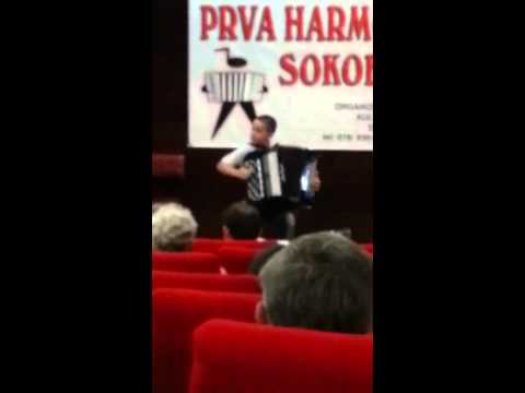 Harmonikas sumadinac