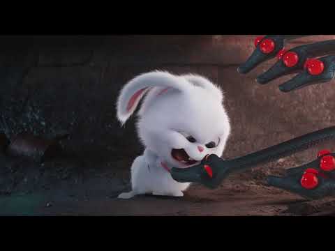 Dont Ask For The Password [PETS] (2016)