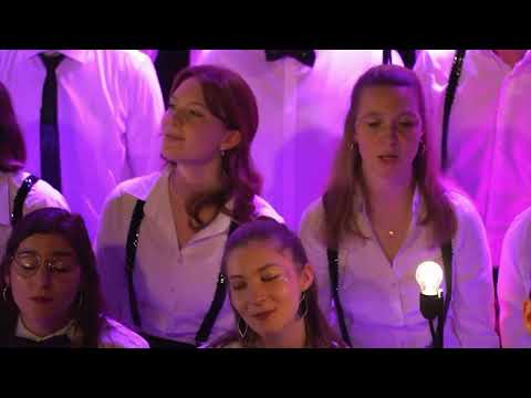 NDW-Medley - VidaVocal (Snippet)