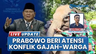 Konflik Gajah-Manusia di Way Kambas Disorot, Gubernur Lampung Ungkap Perhatian Khusus dari Prabowo