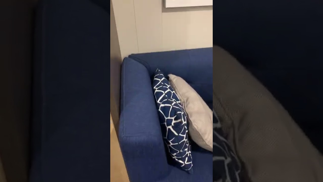 Ovation of the Seas - Cabin 7678 - Video 2