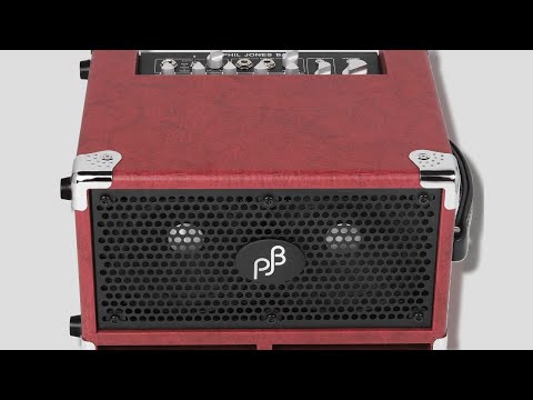 Phil Jones Bass Bass Cub II image 6