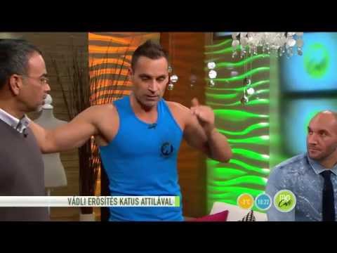 scooby elveszíti a testzsírját kompressziós ruházat fogyáshoz