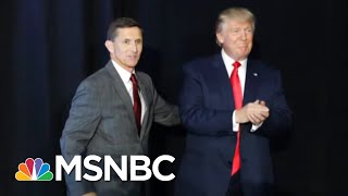 Dem Rep To Trump: We Are Coming For Your Hidden Tax Returns | The Beat With Ari Melber | MSNBC