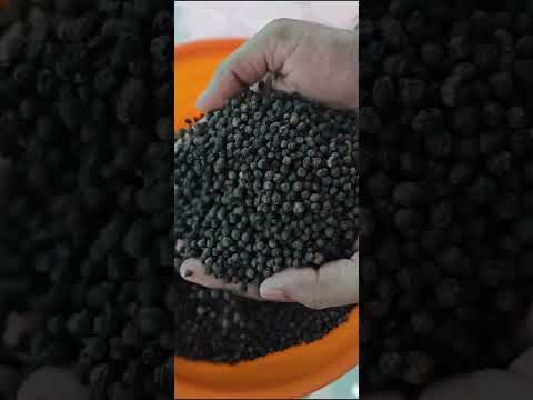 Variety: tellicherry india black pepper kerala origin, bb1 q...