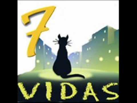 Negro Gato video