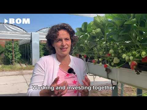 Genson & OneThird (English subtitles)