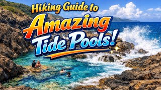 Annaly Bay Tide Pools  [St. Croix - USVI]  [Complete Guide]