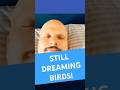 🤩 Still dreaming birds 🐦 😲