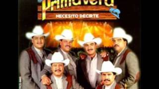 Conjunto Primavera "Donde Caigo"