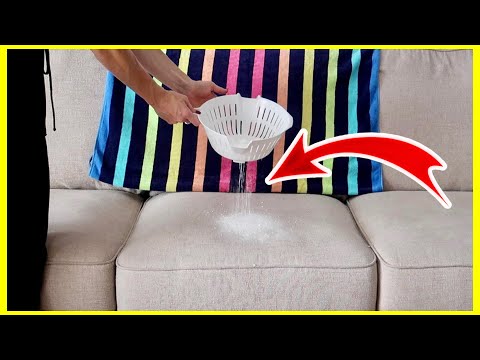 Part of a video titled Pour baking soda on your COUCH & WATCH WHAT HAPPENS NEXT!!