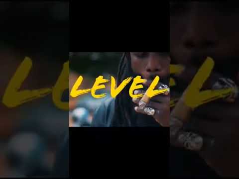 El Planta Feat Peewii - level