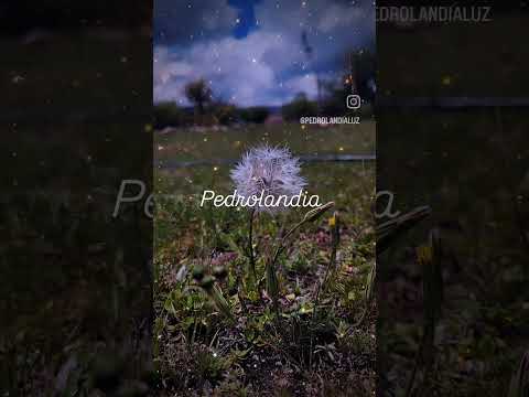 consultas 11 5 105 4226 Mina clavero cordoba