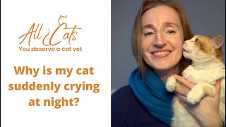 Why is my cat suddenly crying at night?