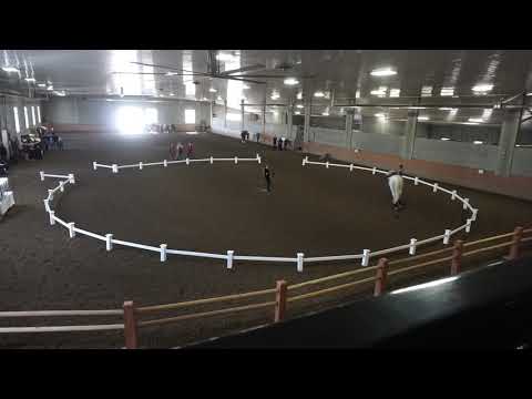 High Kick   Daniel Klotz Deora   Freestyle R2   Canter B Men   MC competition 2019