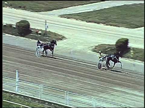 Trotto 14/06/2015 - 1° prova di qualifica