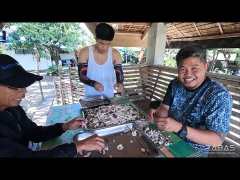 EP732-P2 - Mushroom Forage and Cook | Occ. Mindoro