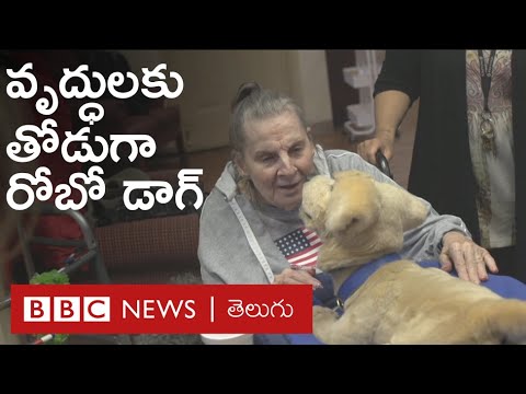 ఒంటరి వృద్ధులు అమ్నీషియా బారిన పడకుండా కాపాడే రోబో డాగ్