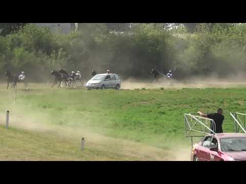 Trka "Vasa Tatarski-pokrovitelj Vodovod Žabalj” 20.09.2020  Ness Royal - Dejan Katanić