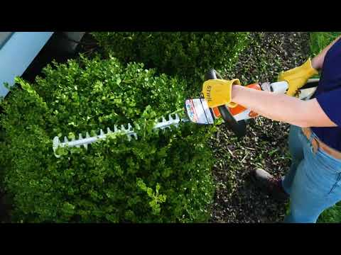 Stihl HSA 40 w/ AL 5 & (2) AS 2 in Calmar, Iowa - Video 1