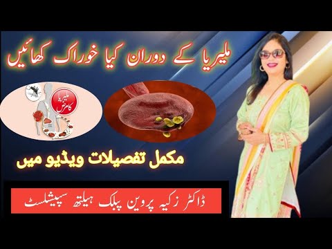 Diet in Malaria |dr001| Malaria mei kaun si diet ka istemal kere | Dr Zakia Perveen #malaria
