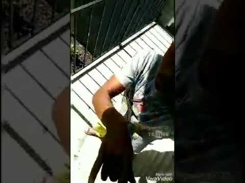 MrBrokeAsf - Think Shit Sweet Shit Sour