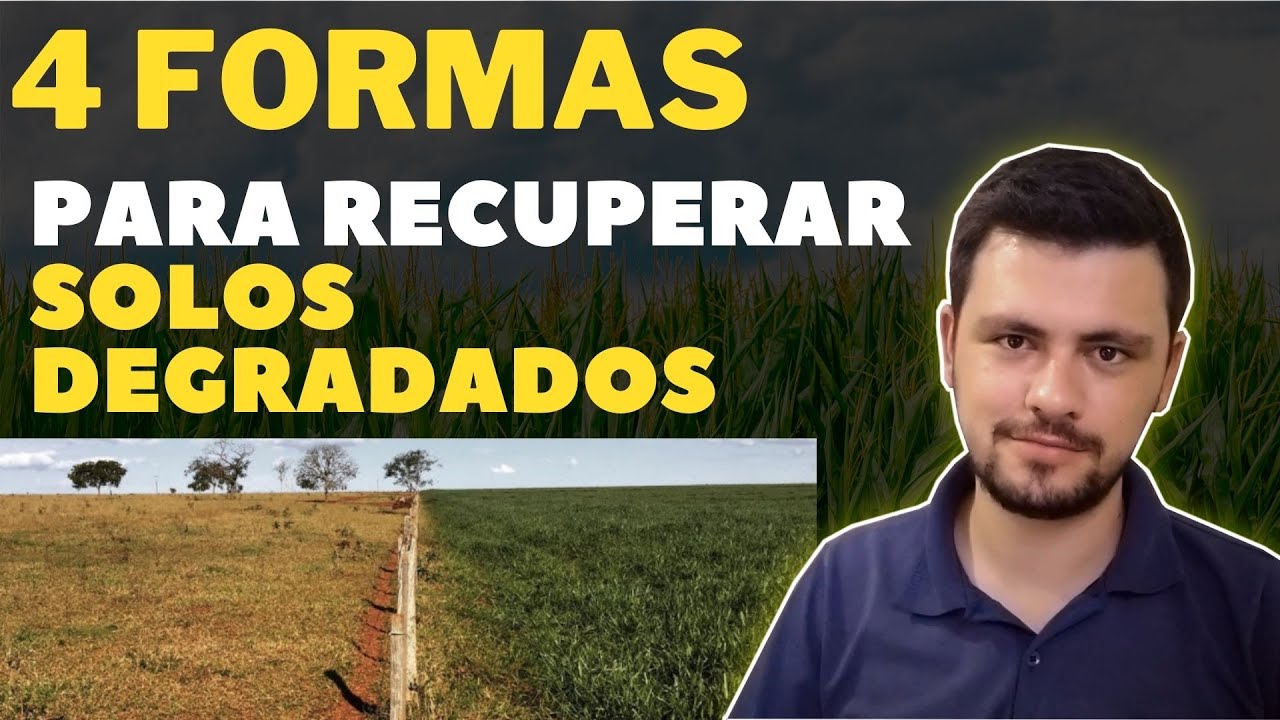 4 FORMAS DE RECUPERAR solos degradados e corrigir BAIXA FERTILIDADE