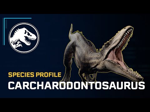 Species Profile - Carcharodontosaurus
