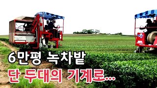 녹차잎 따는 괴물같은 기계