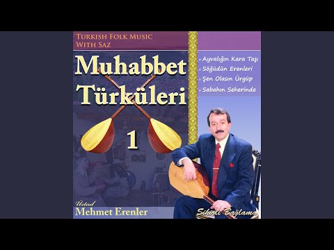 Dam Başında Sarı Çiçek