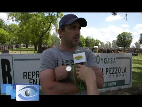 Daniel Blanco y Cía del 11-11 en Lonquimay con 1.700 vac