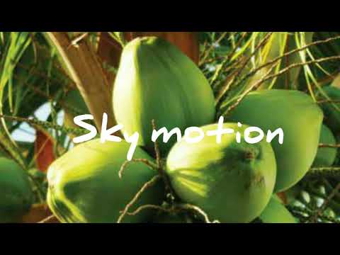 SNOOP X LOCKSIDE - Hallellujah Tiktok (Waka Wine) [SVG Remix] 2021