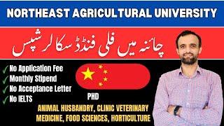 Northeast Agricultural University China  Fully Funded Scholarships | NO ACCEPTANCE | NO FEE