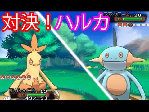 ポ 01 ポケットモンスター ポケモン 動画まとめ 11 13 14