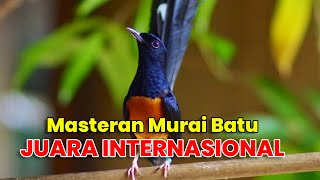 Download lagu MASTERAN MURAI BATU JUARA INTERNASIONAL MURAI BATU GACOR MURAI BATU MEDAN FULL ISIAN mp3 Download lagu MASTERAN MURAI BATU JUARA INTERNASIONAL MURAI BATU GACOR MURAI BATU MEDAN FULL ISIAN mp3