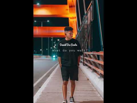 David Da Costa - What U want?