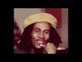 Bob Marley and the Wailers - Rat Race 1976 London Rare Unreleased Version