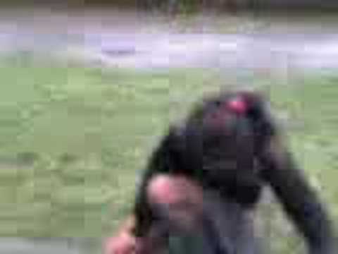 la clendy cruza el rio