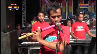 TERSESAT Brodin New Palapa 2018