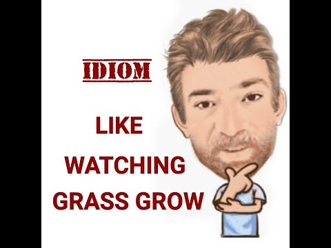 English Tutor Nick P Idioms (602) Like Watching Grass Grow